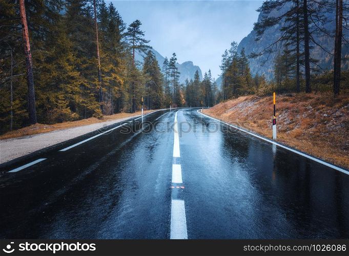 Road in the autumn forest in rain. Perfect asphalt mountain road in overcast rainy day. Roadway with reflection and pine trees. Transportation. Empty highway in foggy woodland. Driveway in fog. Perfect asphalt mountain road in overcast rainy day in Dolomites