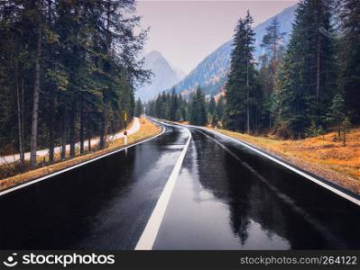 Road in the autumn forest in rain. Perfect asphalt mountain road in overcast rainy day. Roadway with reflection and pine trees in italian alps. Transportation. Empty highway in foggy woodland. Trip