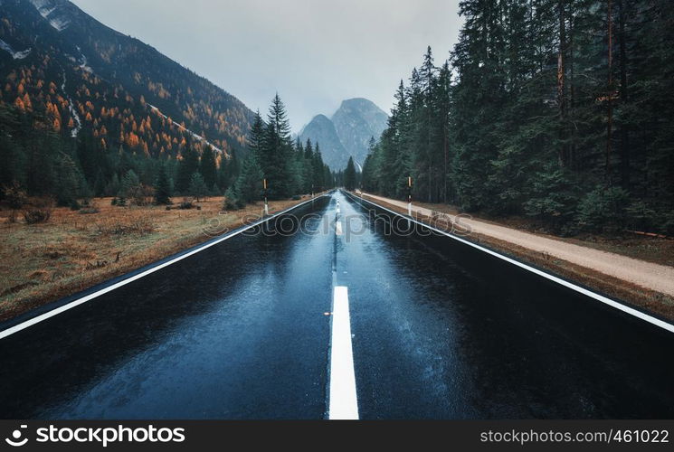 Road in the autumn forest in rain. Perfect asphalt mountain road in overcast rainy day. Roadway with reflection and pine trees. Vintage style. Transportation. Empty highway in foggy woodland. Fall