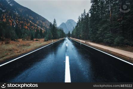 Road in the autumn forest in rain. Perfect asphalt mountain road in overcast rainy day. Roadway with reflection and pine trees. Vintage style. Transportation. Empty highway in foggy woodland. Fall