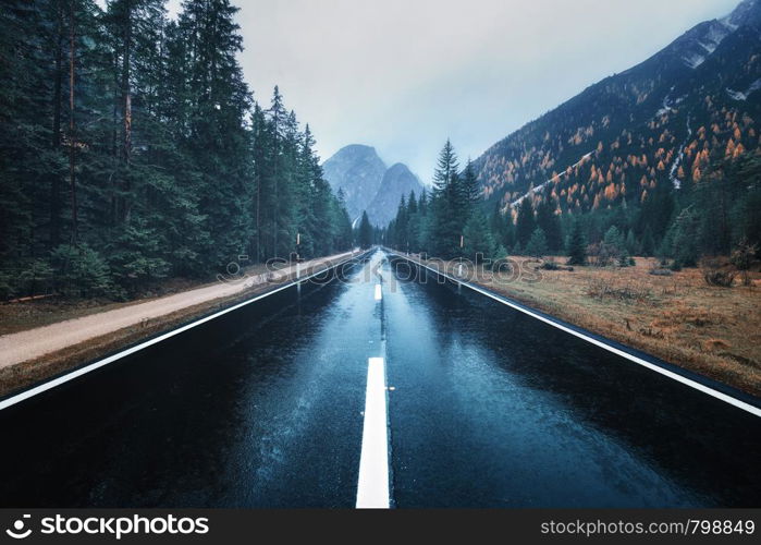 Road in the autumn forest in rain. Perfect asphalt mountain road in overcast rainy day. Roadway with reflection and trees in fog. Vintage style. Transportation. Empty highway in foggy woodland. Fall. Asphalt mountain road in foggy forest in overcast rainy day