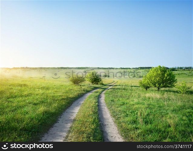 Road in the field at the sunrise
