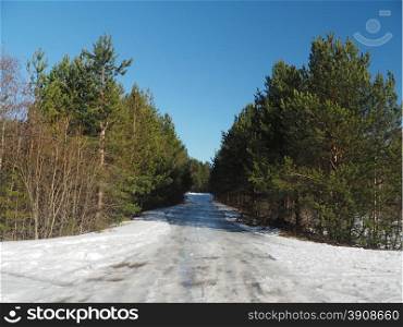 road in the forest in winter