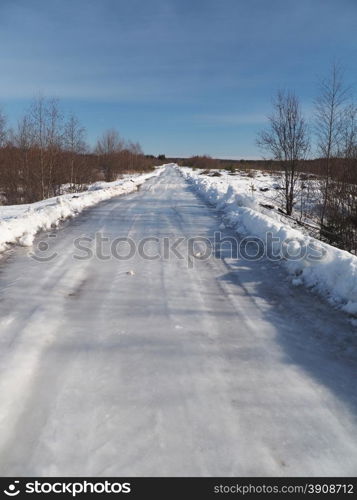 road in the forest in winter