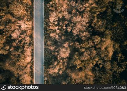 road in the forest on the mountain at pictures style aerial view evening time