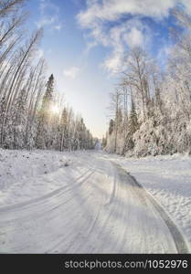 road in the forest. winter