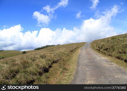 Road in the Horton plains national park, Sri Lanka