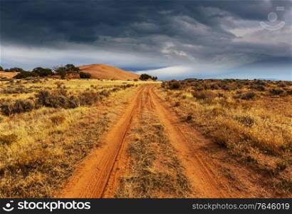 Road in the prairie country. Deserted natural travel background.