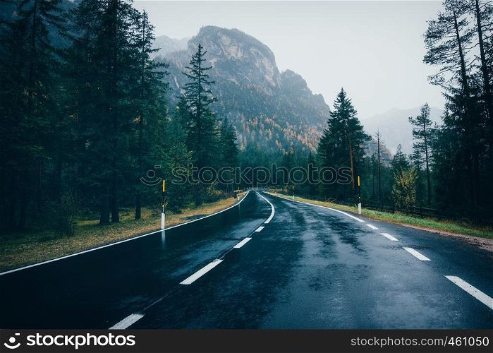 Road in the spring forest in rain. Perfect asphalt mountain road in overcast rainy day. Roadway with reflection and pine trees. Vintage style. Transportation. Empty highway in foggy woodland. Travel