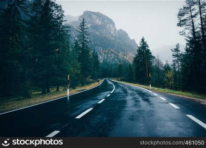 Road in the spring forest in rain. Perfect asphalt mountain road in overcast rainy day. Roadway with reflection and pine trees. Vintage style. Transportation. Empty highway in foggy woodland. Travel