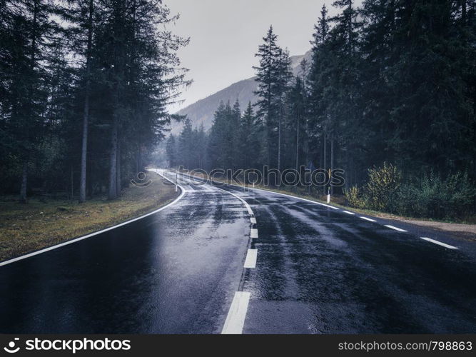 Road in the summer foggy forest in rain. Landscape with perfect asphalt mountain road in overcast rainy day. Roadway with reflection and green trees in fog. Vintage style. Empty highway. Travel. Road in the summer foggy forest in rain. Landscape