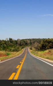 Road in the wetland