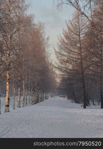 road in winter