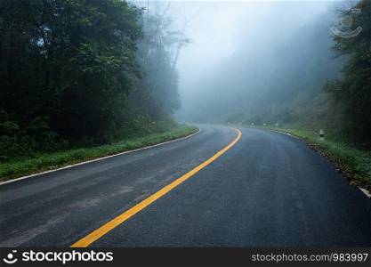 Road in with nature forest and foggy road of Rain forest.