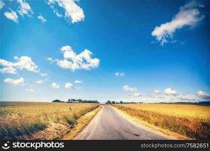 Road leading to a farm in the summer with wheat crops growing in the sun