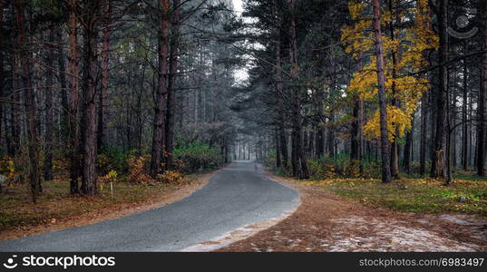 Road of Autumn Morning; Cold and misty autumn morning. Lithuania landscape