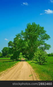 road on field