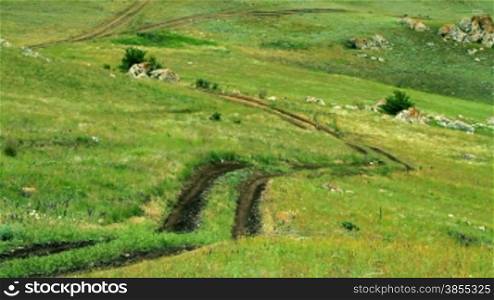 Road on the Crimean steppe in summer