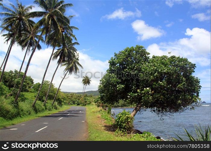 Road on the sea coast in Upolu island, Samoa