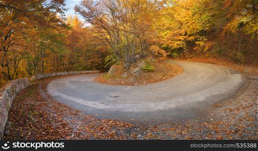 Road panorama in autumn canyon. Nature lanscape composition.