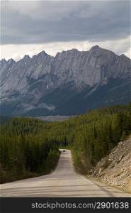 Road passing through a forest, Jasper National Park, Alberta, Canada