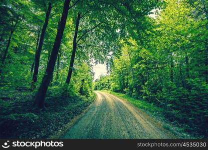 Road passing through a green forest in a countryside