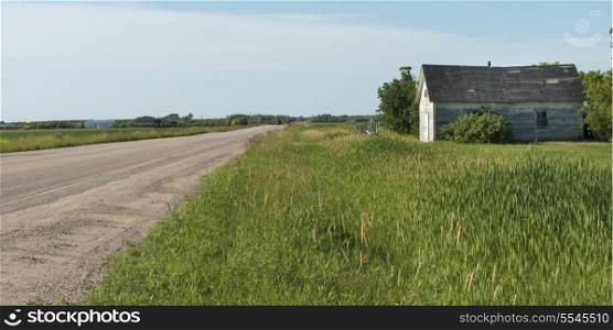 Road passing through a prairie field, East Selkirk, Manitoba, Canada