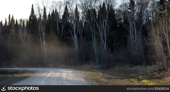 Road passing through forest, Hecla Grindstone Provincial Park, Manitoba, Canada