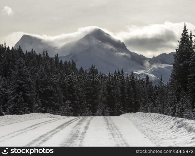 Road passing through forest, Improvement District No. 12, Maligne Lake, Jasper, Jasper National Park, Alberta, Canada