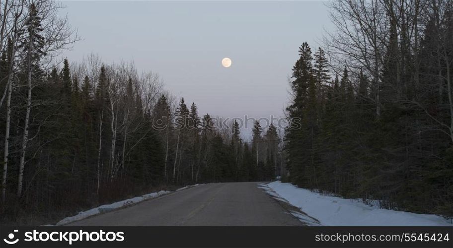 Road passing through forest, Riverton, Hecla Grindstone Provincial Park, Manitoba, Canada