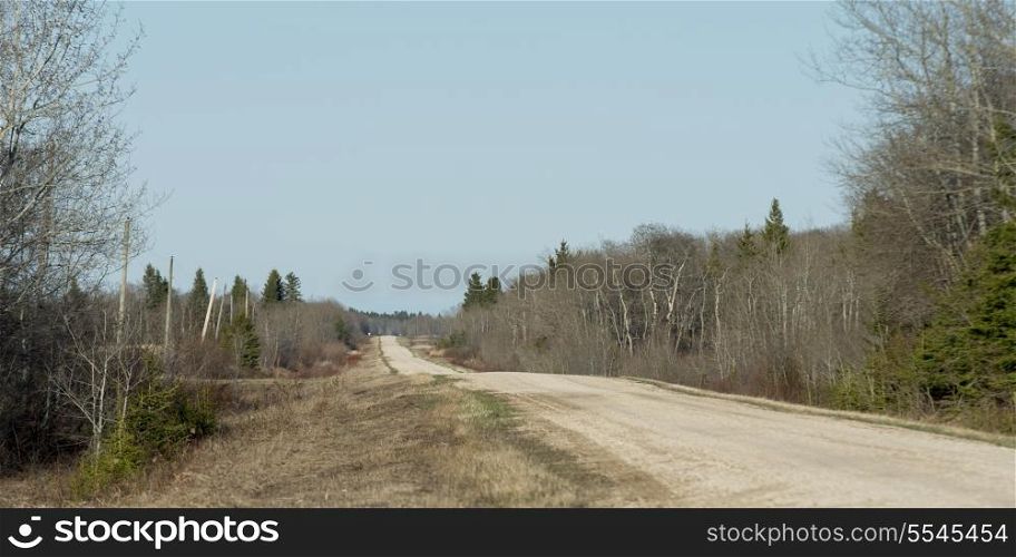 Road passing through landscape, Chatfield, Manitoba, Canada