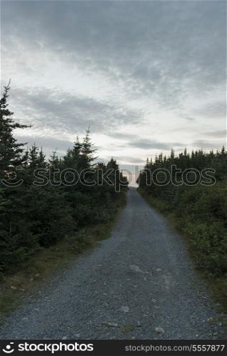 Road passing through landscape, Ferryland, Calvert, Avalon Peninsula, Newfoundland And Labrador, Canada