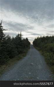 Road passing through landscape, Ferryland, Calvert, Avalon Peninsula, Newfoundland And Labrador, Canada