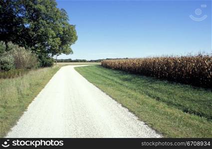 Road running through a landscape