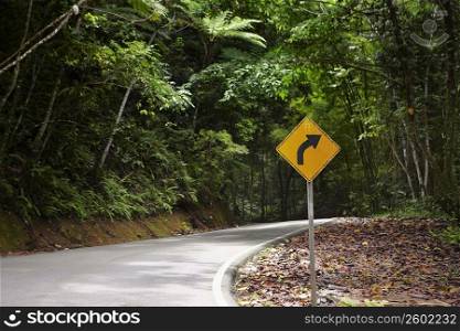 Road sign at the roadside, El Yunque Rainforest, Puerto Rico