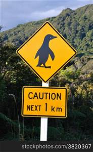 Road sign warning about penguins, Westland, South Island, New Zealand