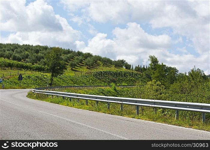 Road Surrounded by Vineyards and Olive Groves