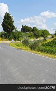 Road Surrounded by Vineyards and Olive Groves