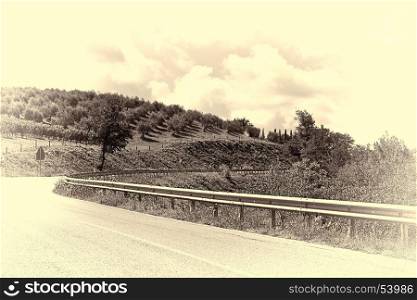 Road Surrounded by Vineyards and Olive Groves, Stylized Photo