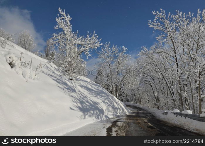 road through a forest with trees covered with frost in alpine mountain