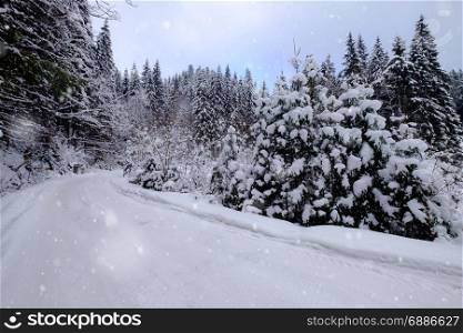 Road through beautiful snowy forest