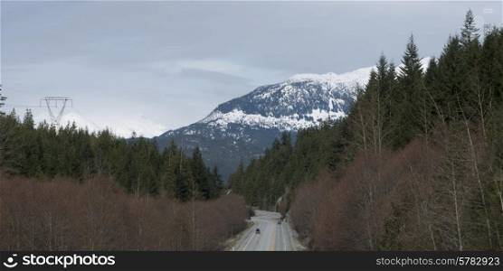 Road through forest, Whistler, British Columbia, Canada