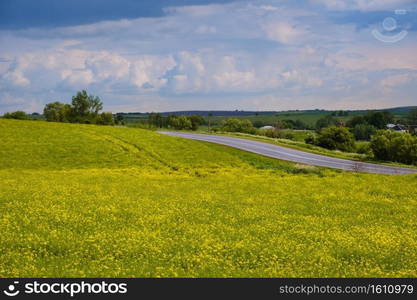 Road through spring rapeseed yellow blooming fields view, sky with clouds. Natural seasonal, good weather, climate, eco, farming, countryside beauty concept.