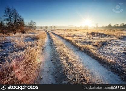 Road through the field with grass frosted. Road through the field with grass