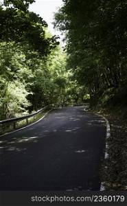 Road to Altipiani di Arcinazzo, in Frosinone province, Lazio, Italy, at summer