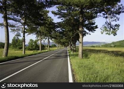 Road to Castel di Sangro, L Aquila province, Abruzzo, Italy, with rows of trees