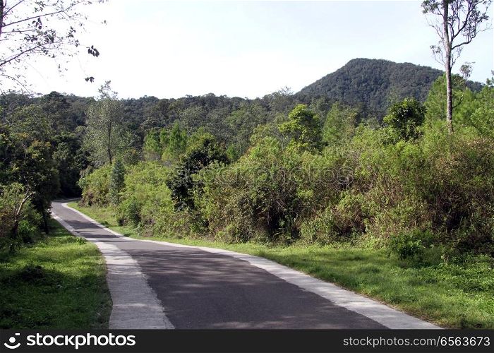 Road to Kawah Putih crater in Indonesia