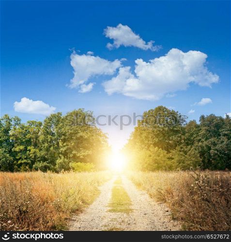 Road to summer. Road to summer. Non-urban summer landscape nature background. Road to summer
