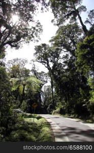 Road to the crater Kawah Putih in Indonesia