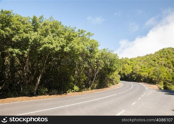 Road to the lush forest of the Gomera in the Canary Islands
